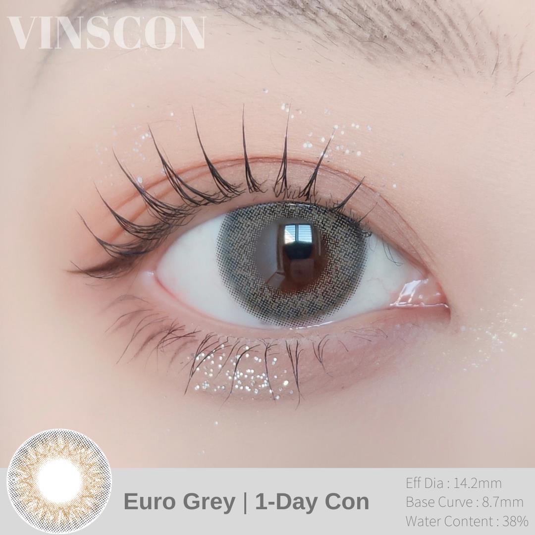 Euro Grey - Daily (10pc)