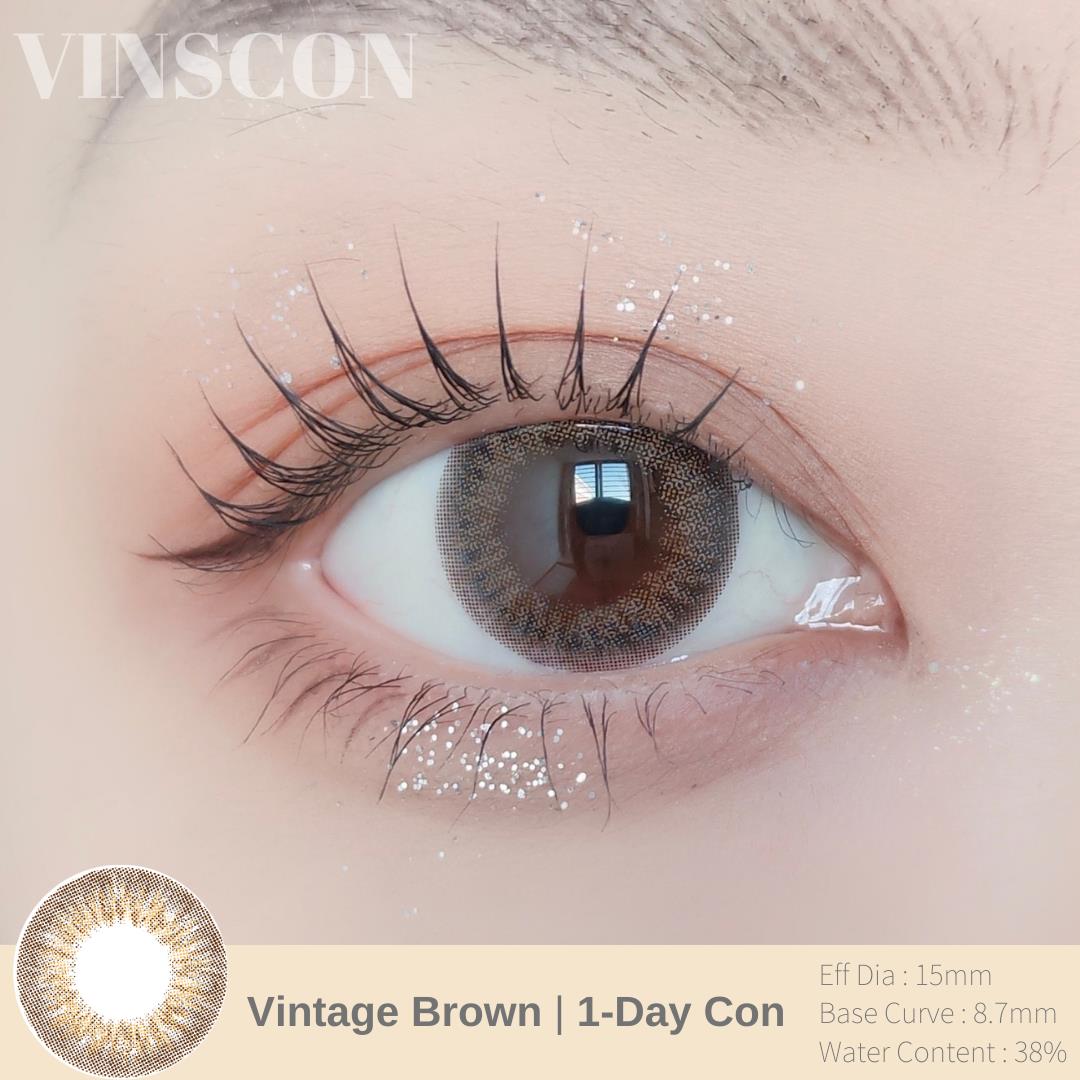 Vintage Brown - Daily (10pc)